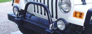 Classic Hoop/Brush Guard