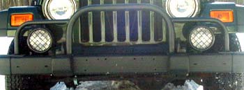 Defender Hoop/Brush Guard