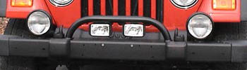 Moab Hoop/Brush Guard