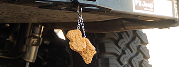 Truck Nugs