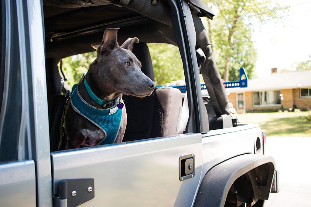 JK Half Doors | Front | Crusader Trail Doors | Jeep Wrangler (07-18)